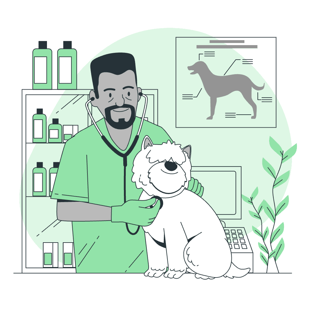 Pet sitting