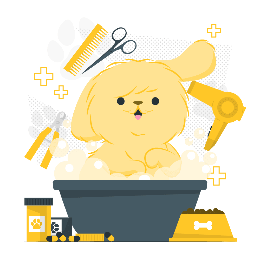 Social Dog